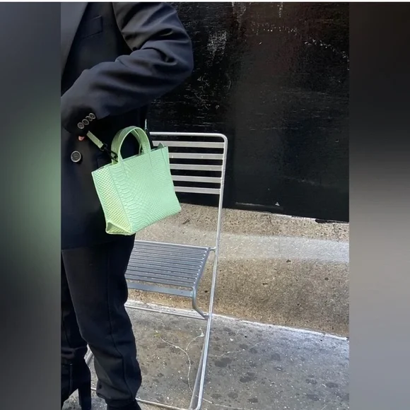 Ampersand As Apostrophe Micro Tote in Mint Python - Picture 3 of 16